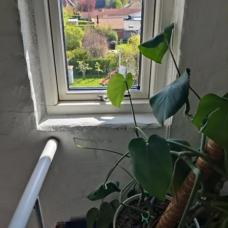 Aurora - Big House With Lovely Garden - Close To Everything Appartement *
